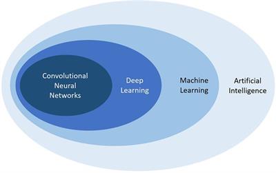 The promise and limitations of artificial intelligence in musculoskeletal imaging